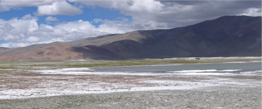 Ladakh Markha valley trek